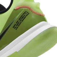 Кросівки Nike Lebron Witness 5, 42,5 EU 8